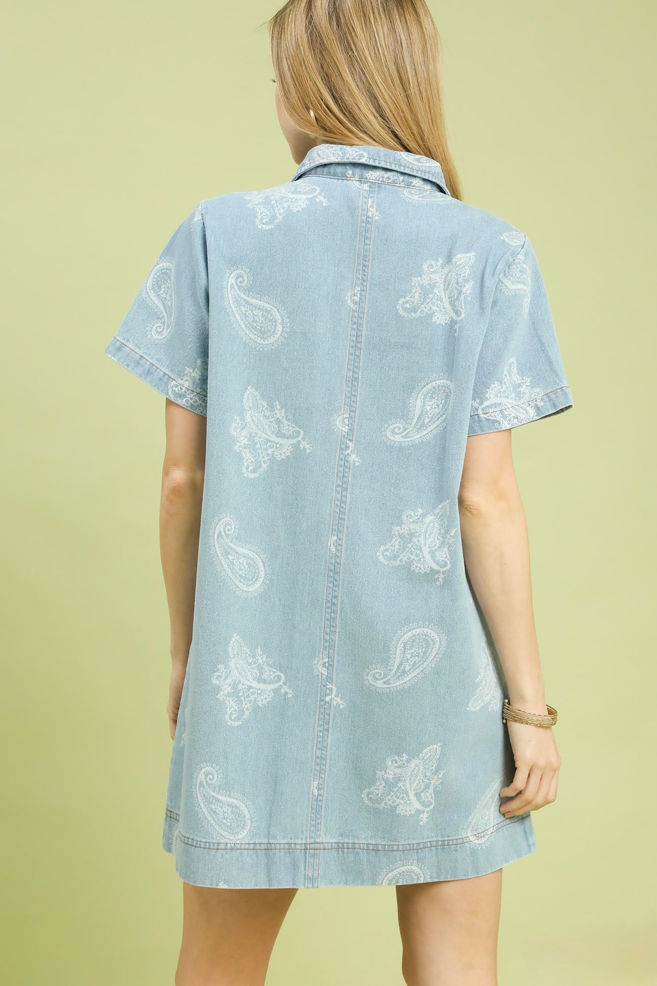 Paisley Pocket Dress