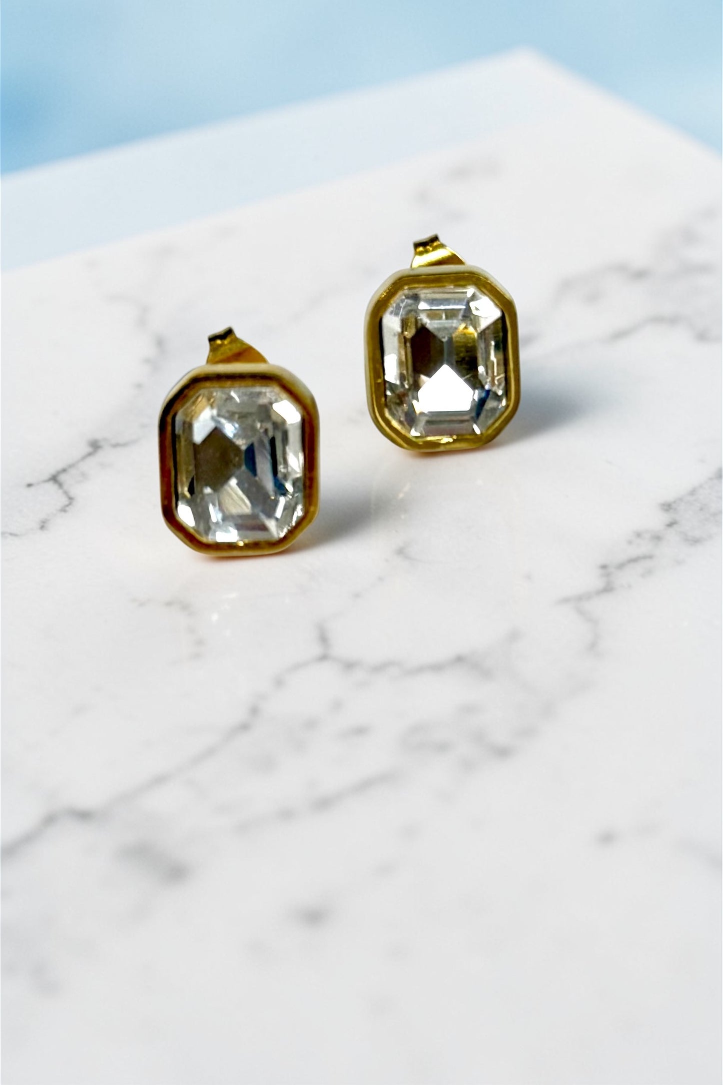 Lavish Living Earrings