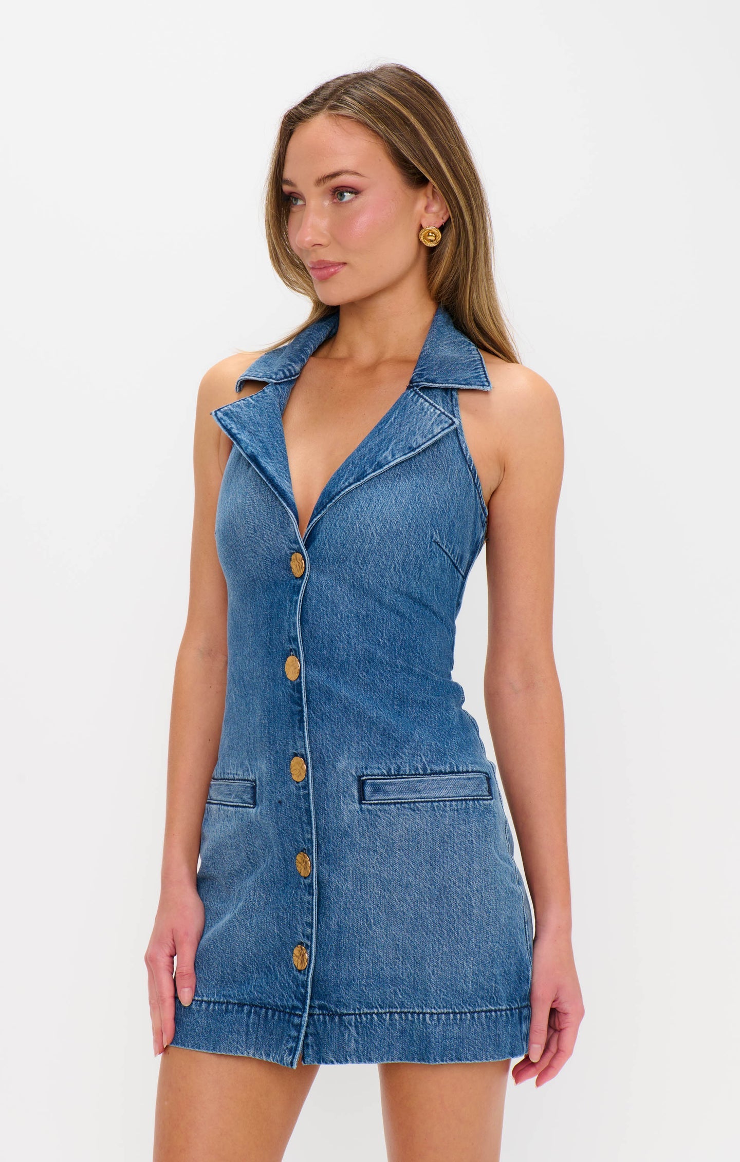 Darien Denim Dress