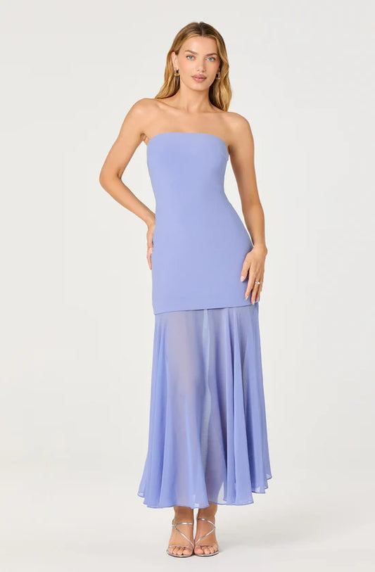 Lizet Strapless Dress