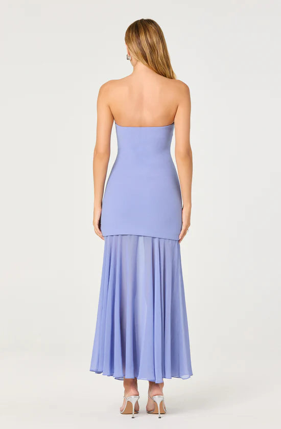 Lizet Strapless Dress