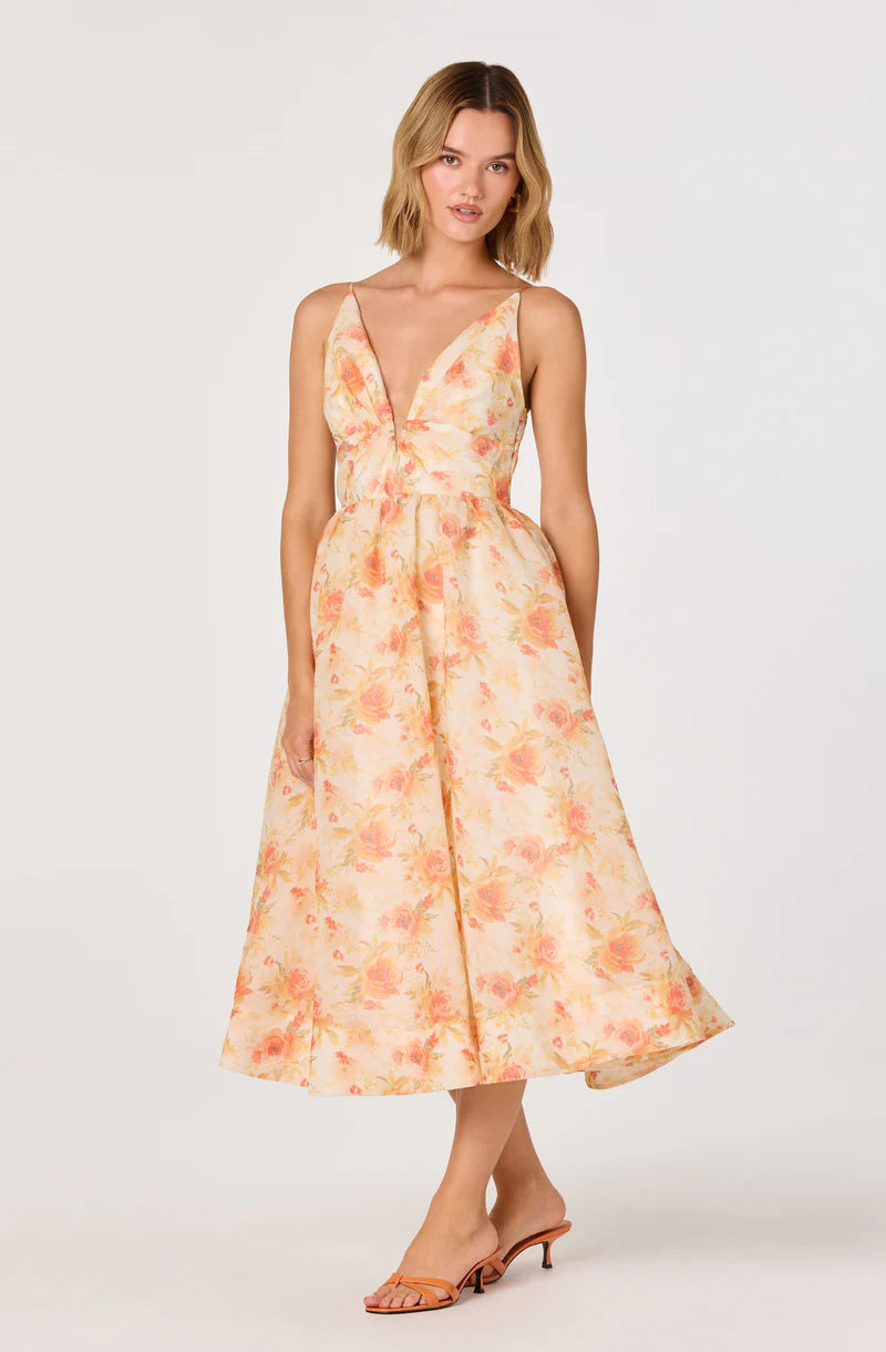Janna Floral Plunge Dress