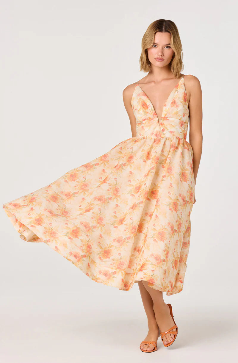 Janna Floral Plunge Dress