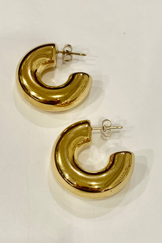 Daisy Thick Circle Hoop Earrings