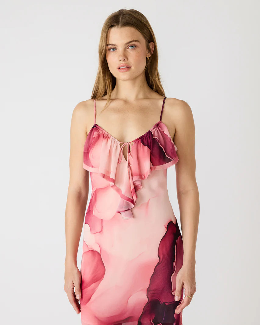Maxinia Maxi Dress