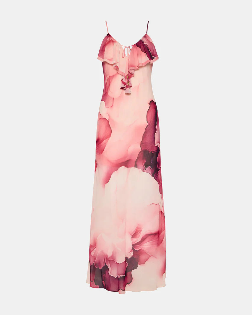 Maxinia Maxi Dress