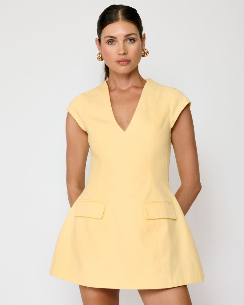 Eleodra Mini Dress